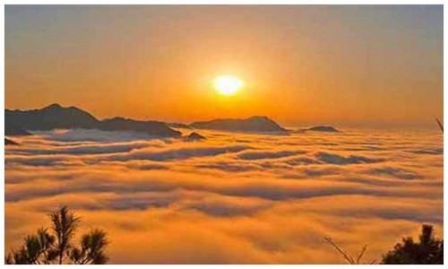 2026最新龙岛异兽下载教程官网地址是什么，附实测下载步骤